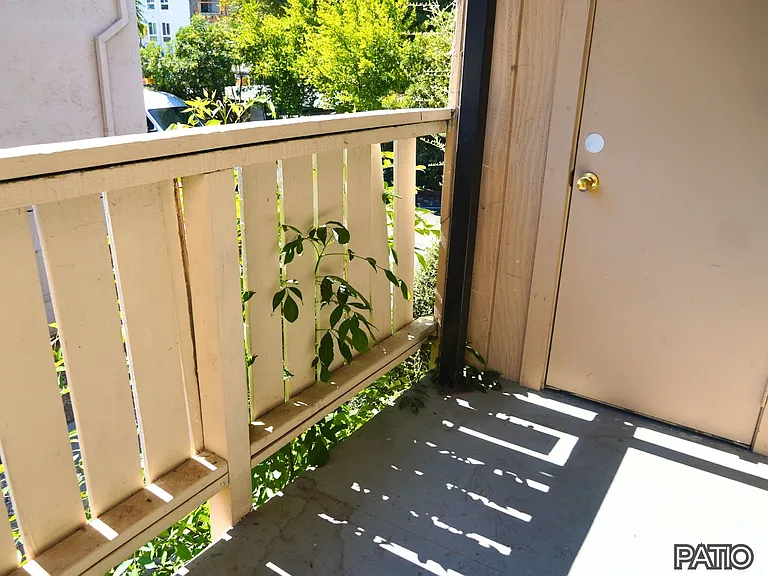 Cannery Apartments — Photo 20