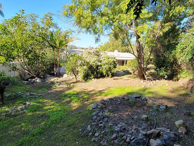 Top of backyard