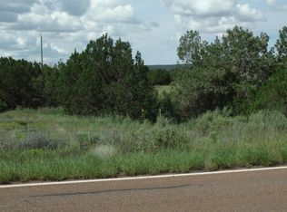 9709 E Concho Hwy, Snowflake, AZ 85937