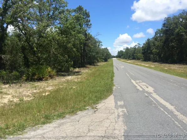 2307 N Trample Ter, Beverly Hills, FL 34465