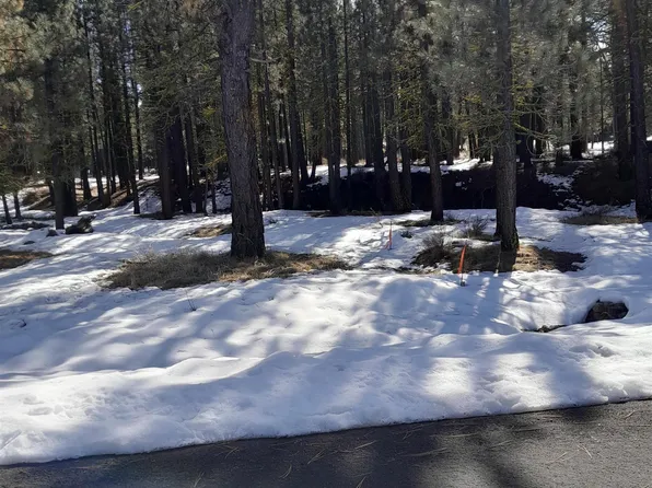 295 Deer Trl #1-P2, Portola, CA 96122