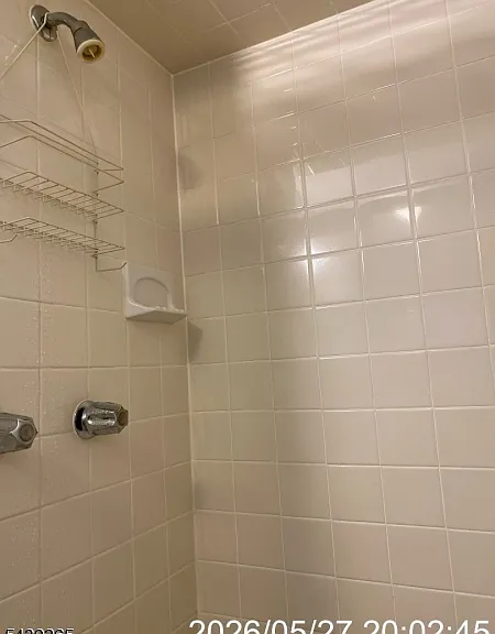 217 Walnut St #2 — Photo 6