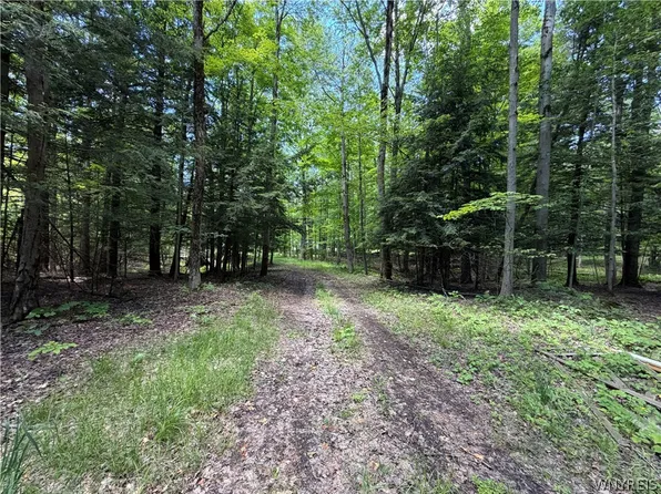 13800 Pritchard Rd Lot 23, Springville, NY 14141