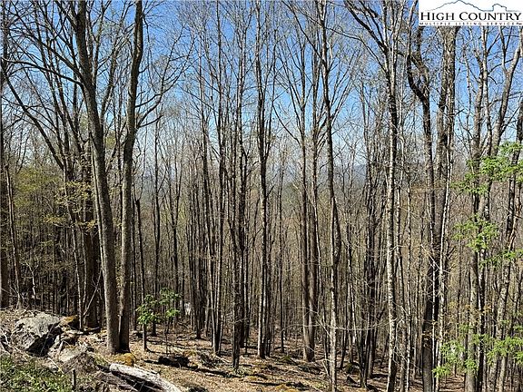 5th image of 137, 139, 141, and 143 W Blueberry Lane