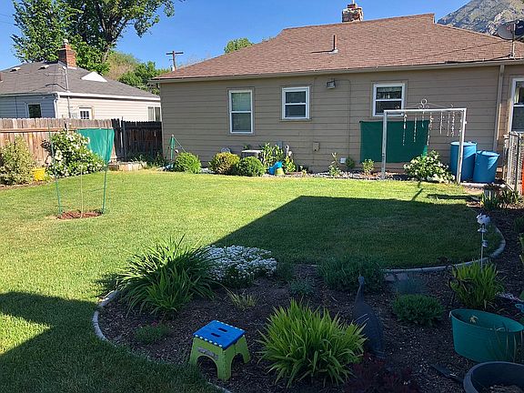 back yard