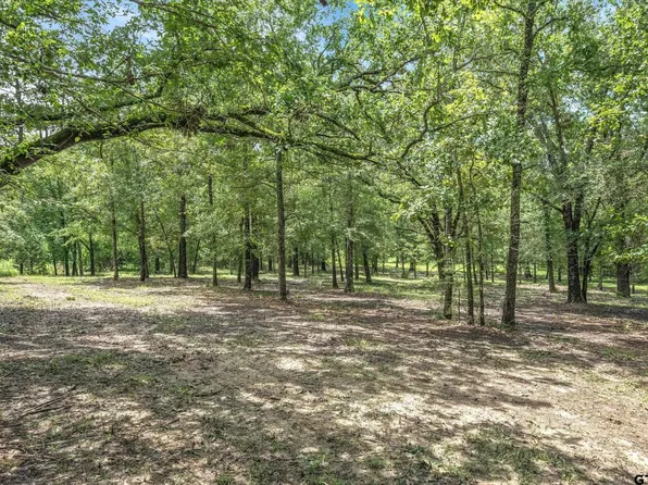 16 Vz County Rd #1804, Grand Saline, TX 75140