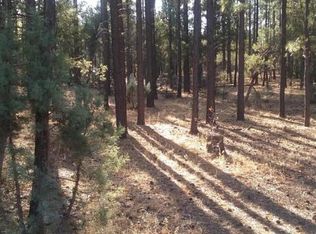 4111 Pioneer Ln, Lakeside, AZ 85929