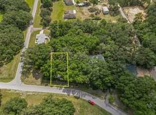 SW 136th Court Rd, Dunnellon, FL 34432