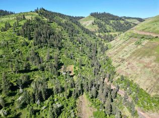 Lots 4 & 5 Hidden Canyon Sub Div, Kooskia, ID 83539