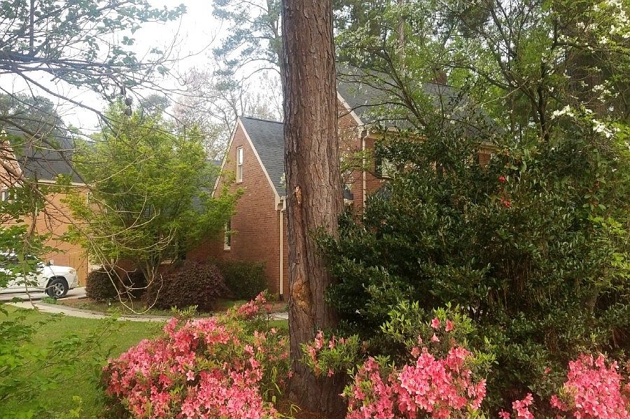 4489 Dogwood Way, Evans, GA 30809 Zillow