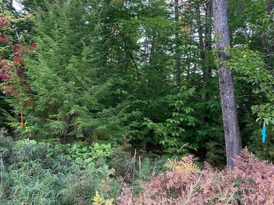 0 Chaplin Mills Road, Bridgton, ME, 04009