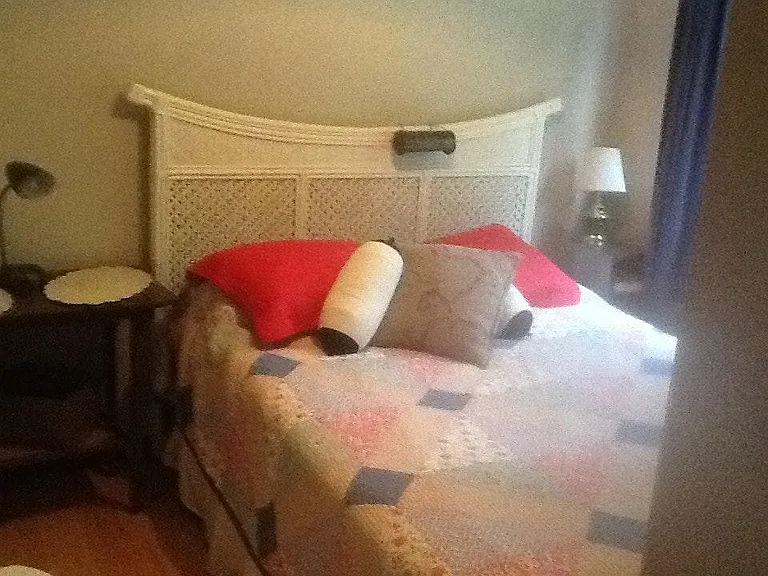 downstairs bedroom