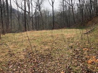 448 Forest Springs Dr, Gatlinburg, TN 37738