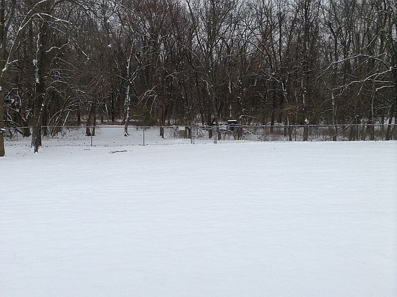 Woodland behind house