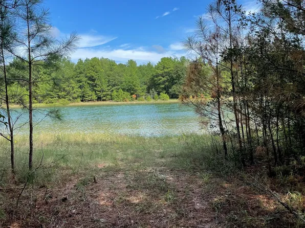 29340 Clydesdale Dr, Waller, TX 77484