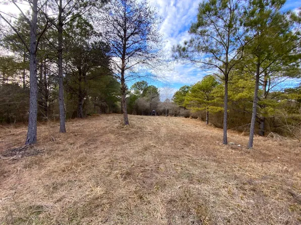 0 County Road 9, Eldridge, AL 35554