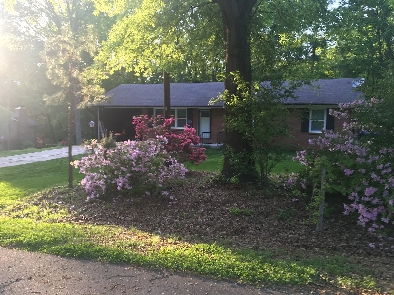 3 bed, 1269 sqft, $1,650 — Photo 3