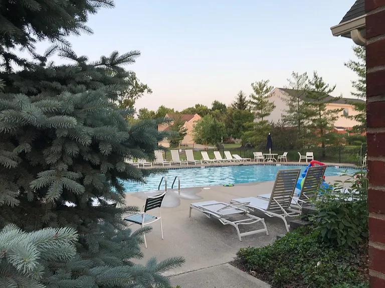 Swiming pool