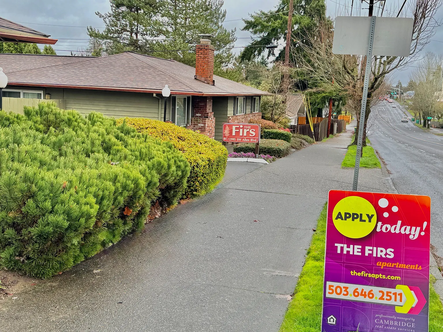 The Firs — Photo 2