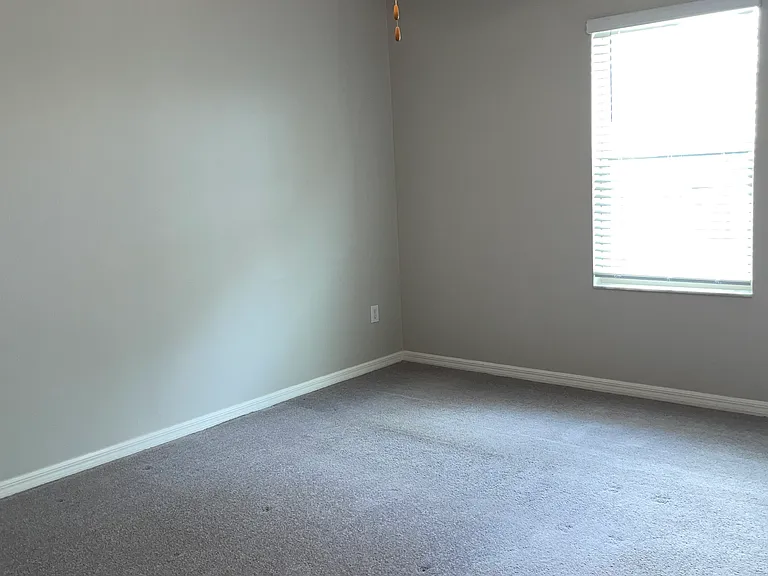 5221 White Chicory Dr — Photo 37