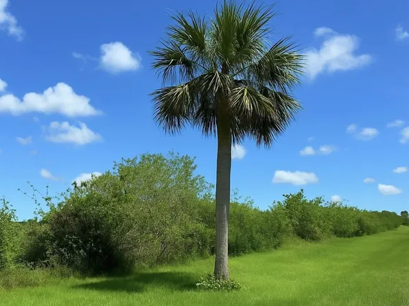 6617 SE 26th Trail, Okeechobee, FL 34974