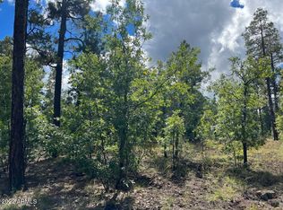 900V E Rim Rd #1, Pinetop, AZ 85935