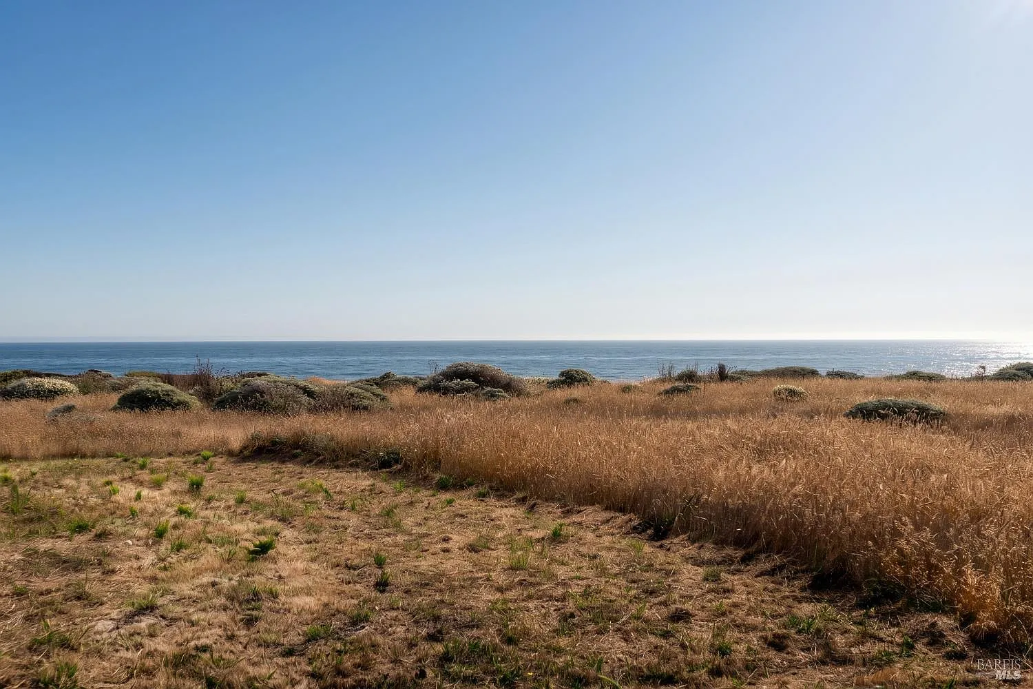 355 Del Mar Point - Photo 2