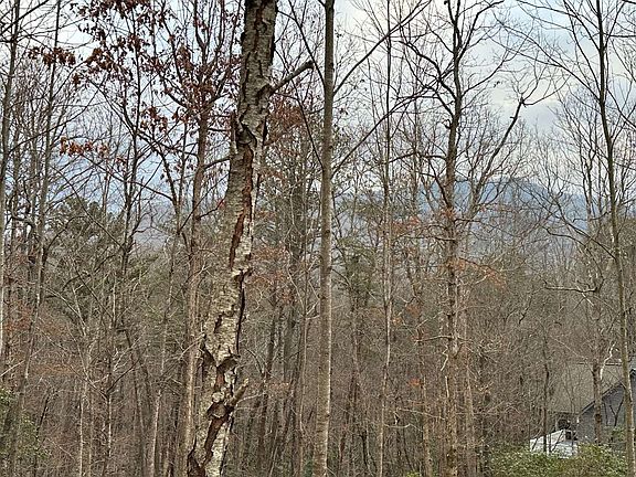 2nd image of LOT 59 Asheland Cove Dr