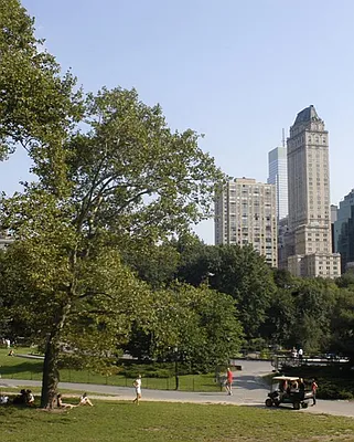 Rented by Nest Seekers International | media 16