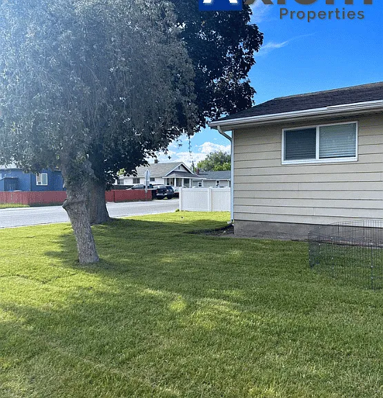 906 E Elm St — Photo 3