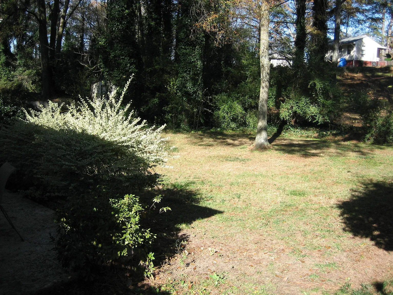 3 bed, 1.5 bath, 1400 sqft, $2,500 — Photo 2