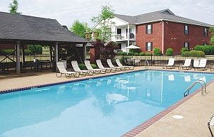 Swiming Pool