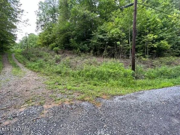 Old 15th Rd, Del Rio, TN 37727