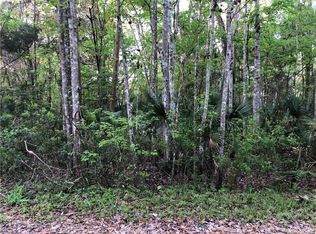 5767 S Court Ave, Homosassa, FL 34448