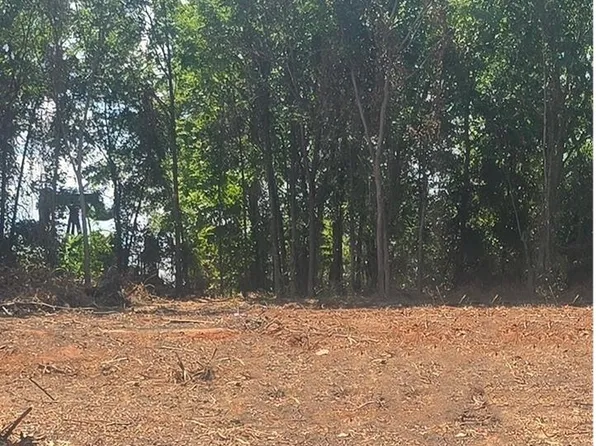 Cupit Rd, Longview, TX 75604