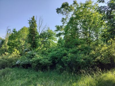 56th St #B, Fennville, MI, 49408