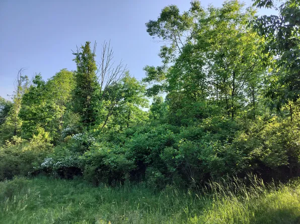 56th St #B, Fennville, MI 49408