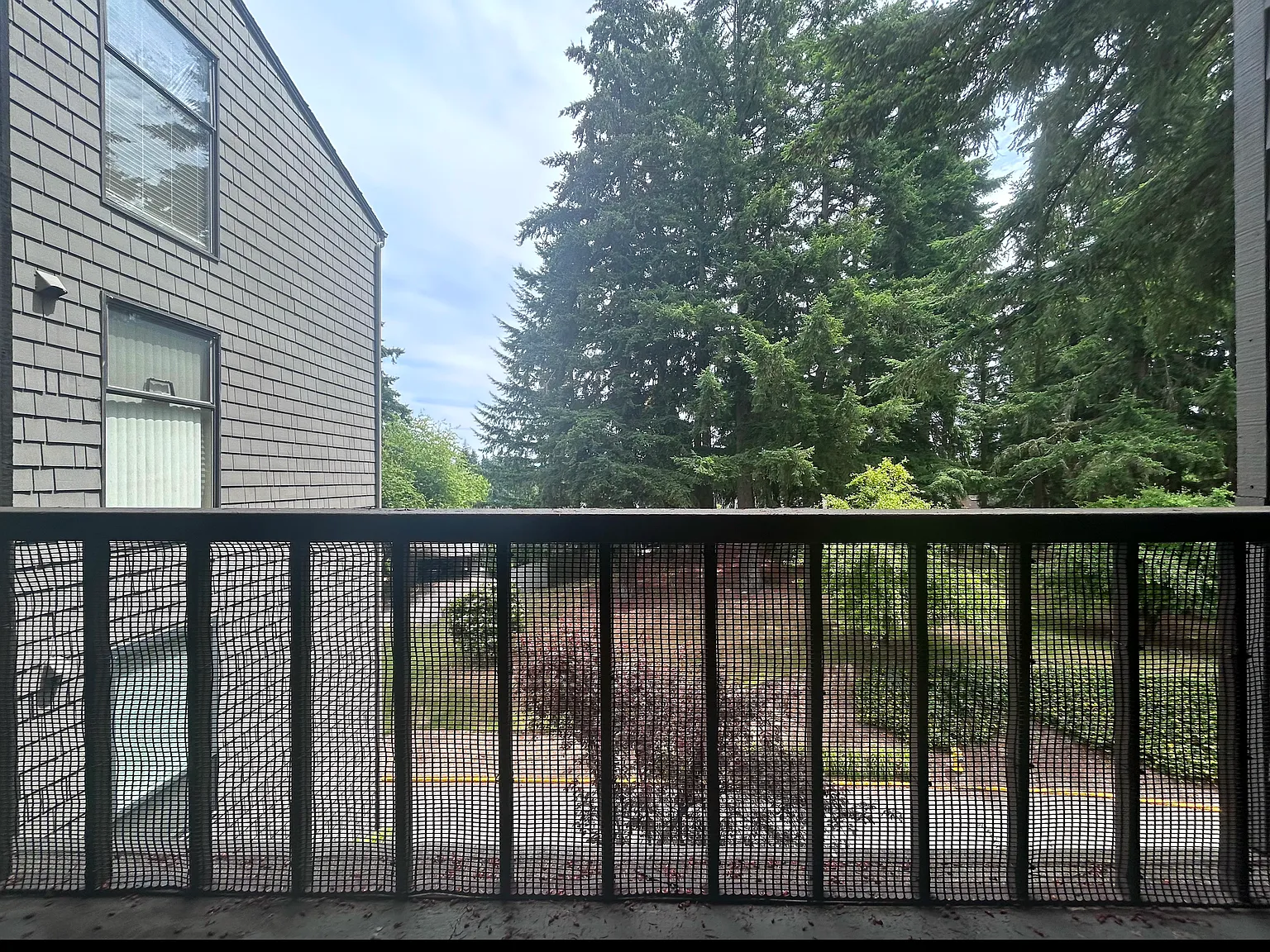 3 bed, 1659 sqft, $3,450 — Photo 2