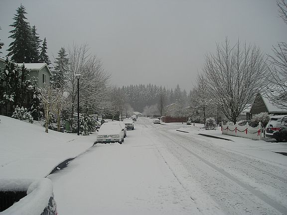 Winter street view