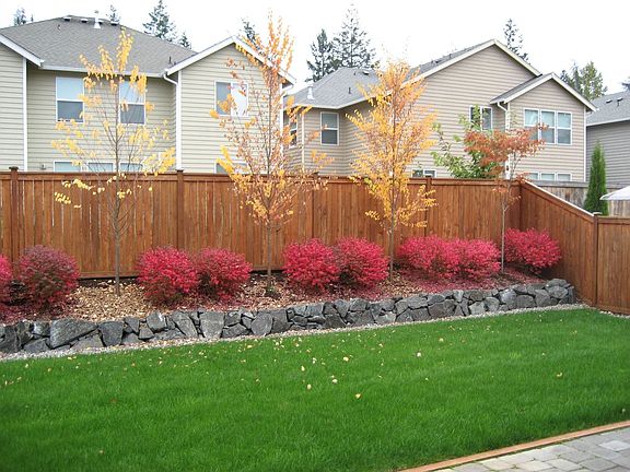 backyard in summer
