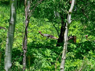 132 Wapiti Way, Basalt, CO 81621