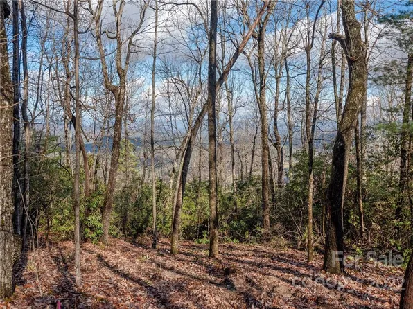 0 Pinnacle Mountain Rd, Hendersonville, NC 28739