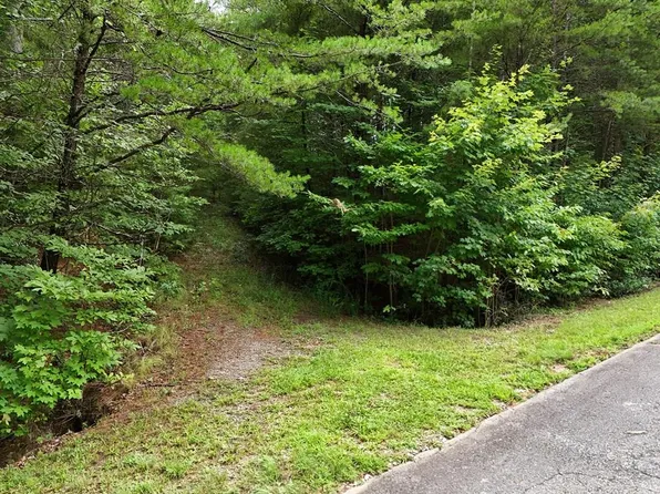 5 E Ridge Ln, Ellijay, GA 30536
