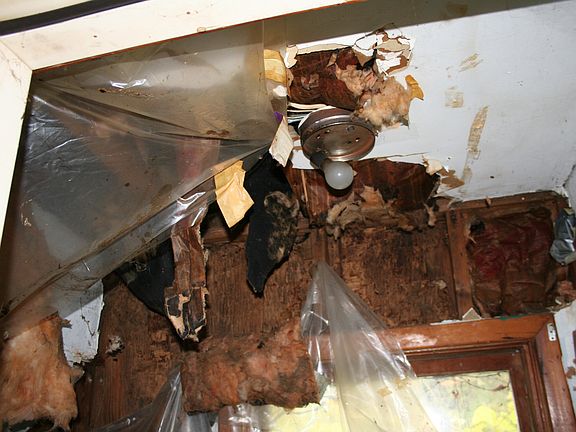 5th image of 3158 Longwood Ave