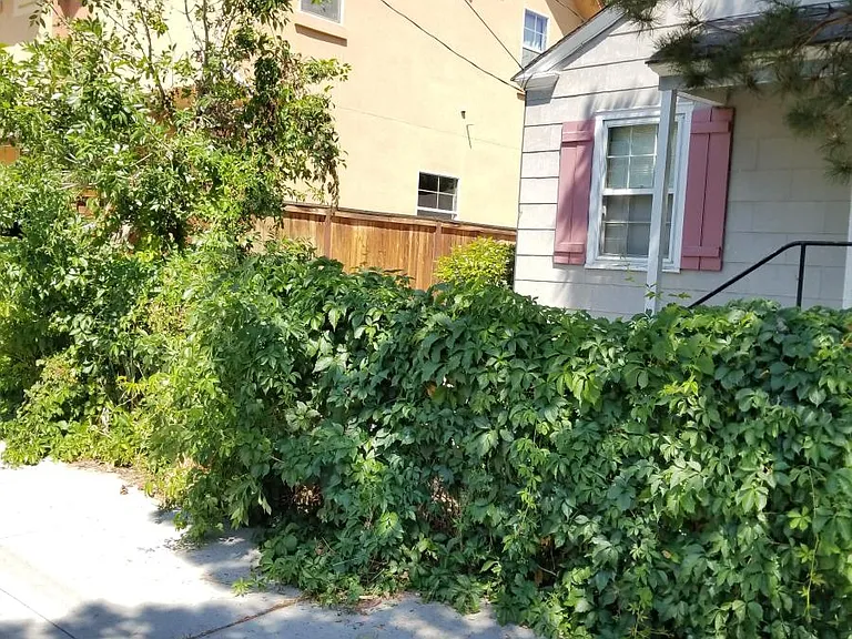1327 Watt St — Photo 8