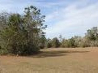 1000 Brown Thrasher Point, Saint Marys, GA 31558