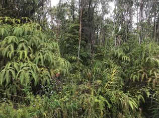 11-2130 Makoa Rd LOT 79, Volcano, HI 96785