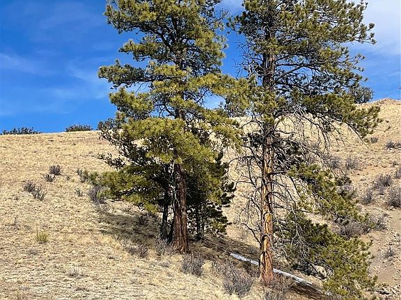 5th image of Antelope Road LOT 1558