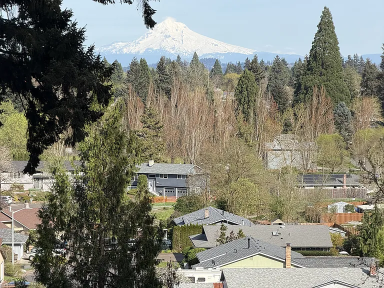 View from dining room