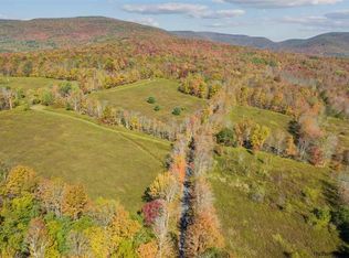 219 Turkey Ridge Rd, Fleischmanns, NY 12430